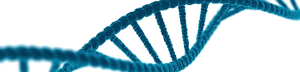Cellsymbiosetherapie